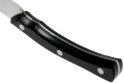 Due Cigni Arne Line Couteau D'office 10 Cm, Noir -Victorinox Soldes DG2C901 04 due cigni arne