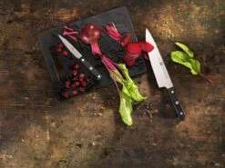 Zwilling Gourmet Couteau D'office 10 Cm, 36110-101 -Victorinox Soldes Gourmet3