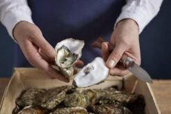 Couteau à Huîtres Opinel N°09 -Victorinox Soldes OP001616 07 opinel oestermes op001616 08