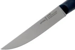 Opinel Intempora Couteau à Viande No. 220, 16 Cm -Victorinox Soldes OP002220 03 opinel intempora