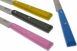 Opinel T001533, Set De Couteaux à Steak, Esprit Campagne -Victorinox Soldes OPT001533 03 opinel tafelmesset esprit campagne opt001533 d3