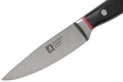 Richardson Sheffield Velocity 123BFCSB3117 Couteau D'office, 10.5cm -Victorinox Soldes RFR123BFCSB3117 03 richardsonsheffield