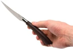 Saladini Ensemble 6 Pièces Couteaux à Steak 23 Cm, Wenge -Victorinox Soldes SL4001PW6 07 saladini sl4001pw6 07