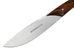 Viper Fiorentina VT7500-02CB Bois De Cocobolo, Set De 2 Couteaux à Steak -Victorinox Soldes VPVT7500 02CB 03 viper