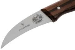 Victorinox Wood 5.3100 Couteau Bec D'oiseau, 6 Cm -Victorinox Soldes VT5 3100 03 victorinox