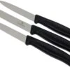 Victorinox SwissClassic Couteaux à Légumes Noir, Set De 3, 6.7113.3 -Victorinox Soldes VT6 7113 3 01 victorinox groentemesset vt6 7113 3 01