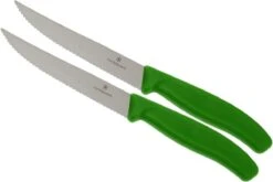 Victorinox SwissClassic Couteaux à Steak/pizza Vert, Set De 2, 6.7936.12L4B