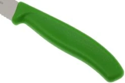 Victorinox SwissClassic Couteaux à Steak/pizza Vert, Set De 2, 6.7936.12L4B -Victorinox Soldes VT6 7936 12L4B 03 victorinox steakmes groen vt vt6 7936 12l4b 03