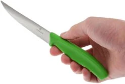 Victorinox SwissClassic Couteaux à Steak/pizza Vert, Set De 2, 6.7936.12L4B -Victorinox Soldes VT6 7936 12L4B 04 victorinox steakmes groen vt vt6 7936 12l4b 04