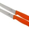 Victorinox SwissClassic Couteaux Ă Steak/pizza Orange Set De 2 6.7936.12L9B 1 Victorinox SwissClassic Couteaux Ă Steak/pizza Orange Set De 2 6.7936.12L9B -Victorinox Soldes VT6 7936 12L9B 01 victorinox steakmes oranje vt vt6 7936 12l9b 01