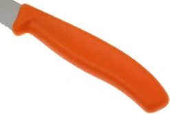 Victorinox SwissClassic Couteaux à Steak/pizza Orange Set De 2 6.7936.12L9B -Victorinox Soldes VT6 7936 12L9B 03 victorinox steakmes oranje vt vt6 7936 12l9b 03