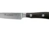 Wüsthof Ikon Couteau D'office 9 Cm, 1010530409 -Victorinox Soldes WU1010530409 01 wusthof ikon v202010